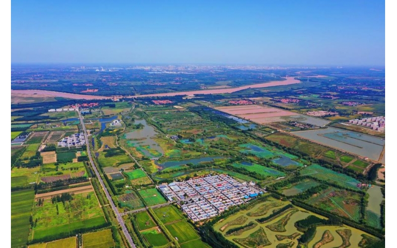 行進中國丨黃河邊，鄉(xiāng)親們吃上了“生態(tài)飯”
